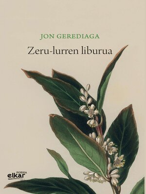 cover image of Zeru-lurren liburua (Irun hiria poesia)